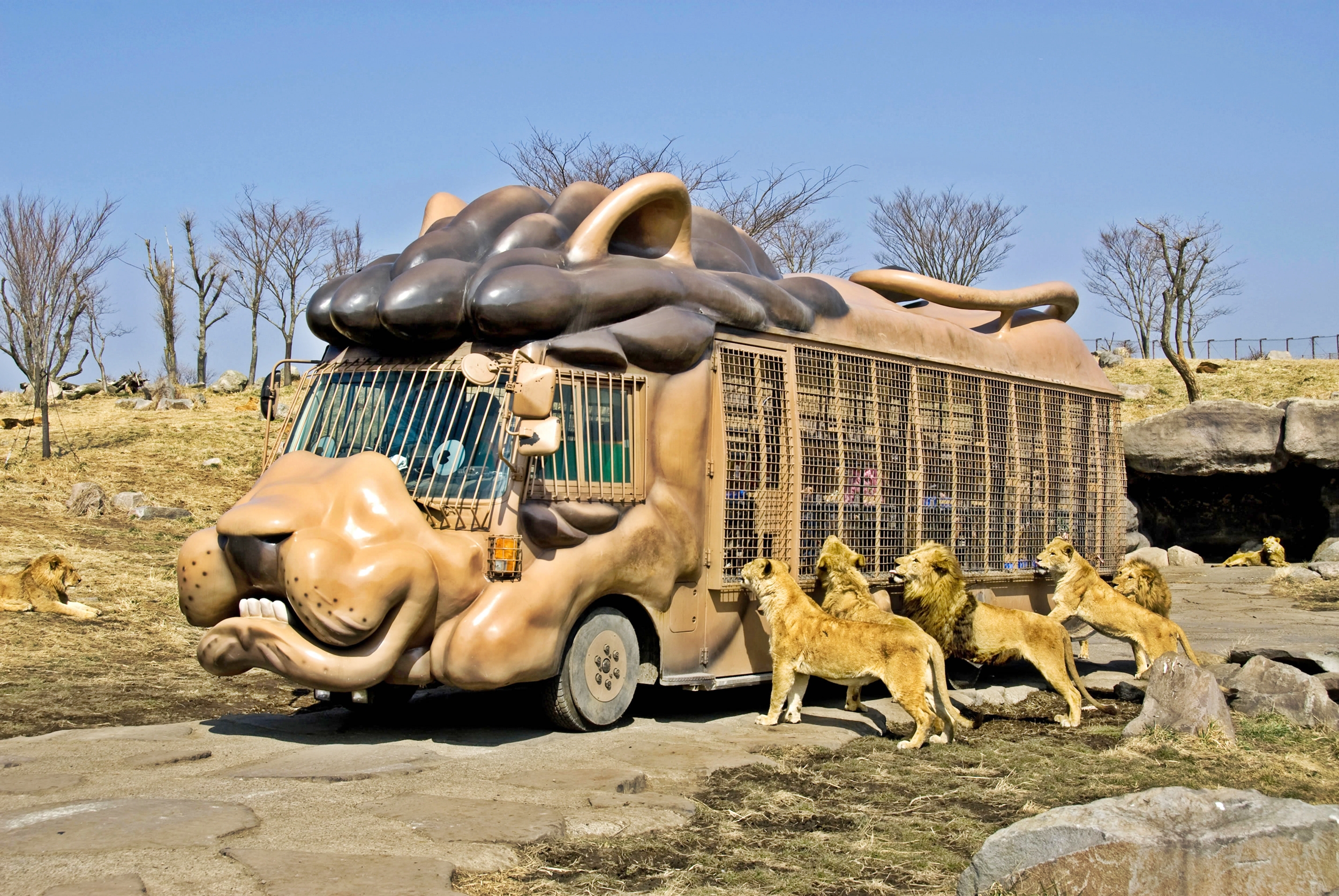 Beppu African Safari