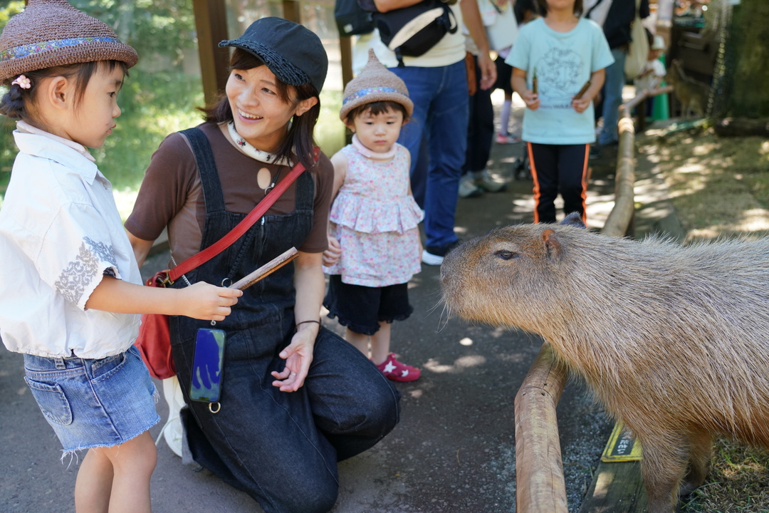 與可愛動物親密互動