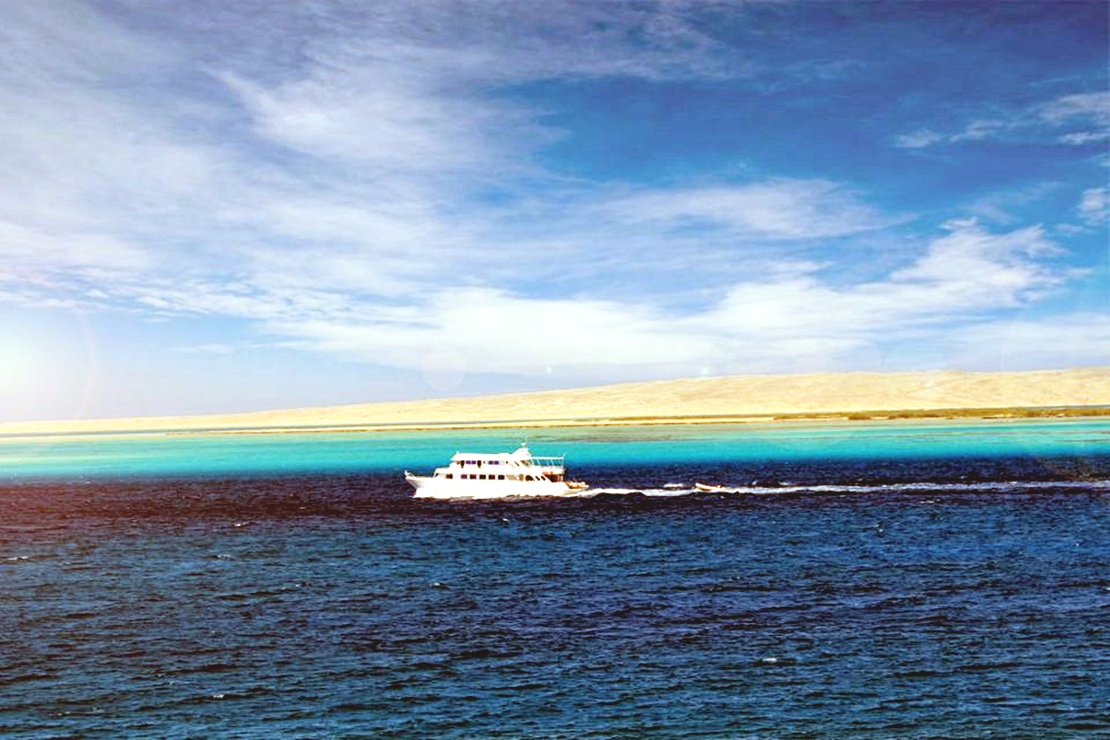 洪加達海豚觀賞遊船之旅（包浮潛 & 午餐）