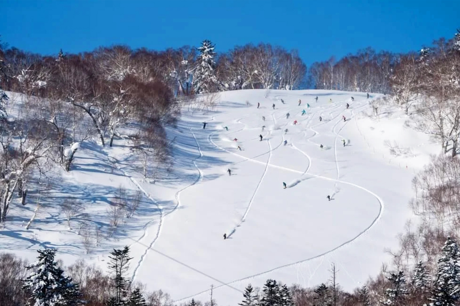 札幌出發的北海道國際滑雪場一日遊