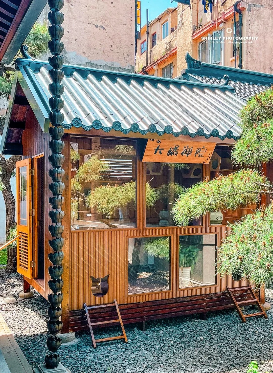 玉佛寺的小橘屋，這是上海最為溫馨的一角