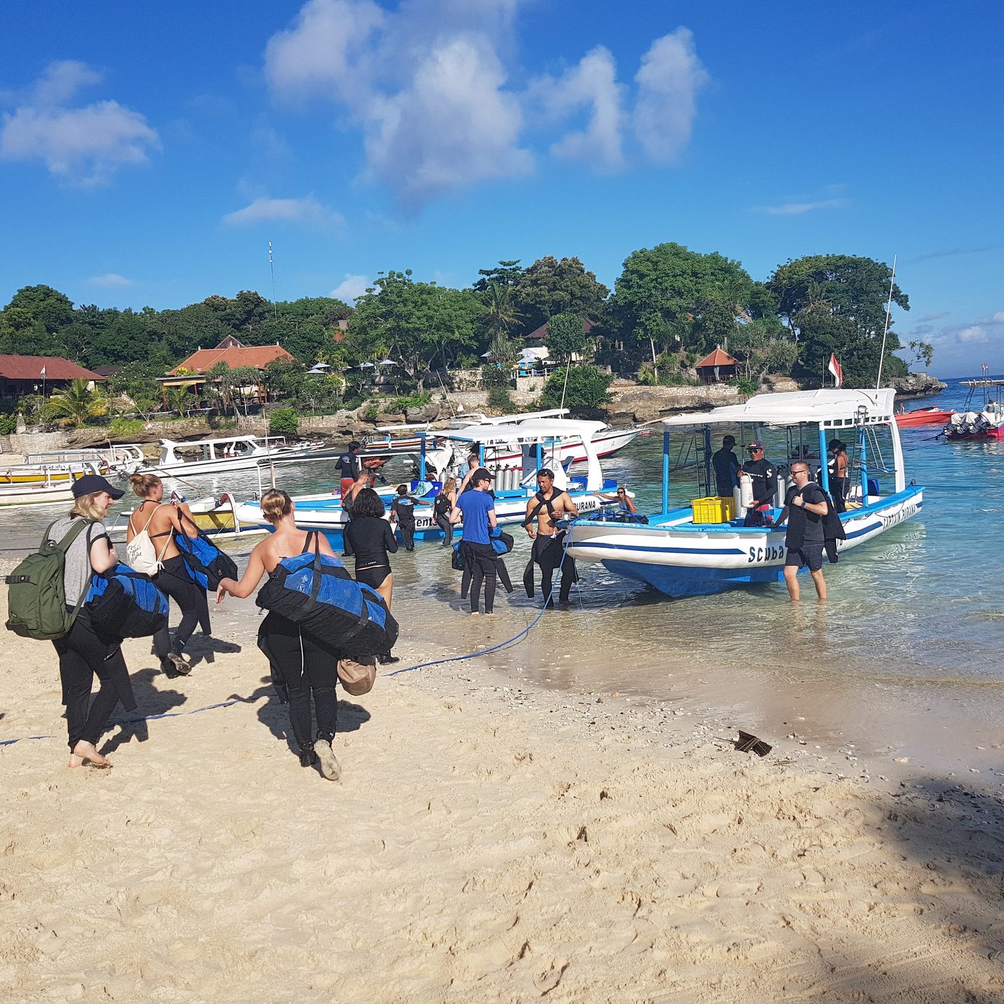 藍夢島 & 努沙佩尼達島潛水之旅（PADI五星級潛水中心）