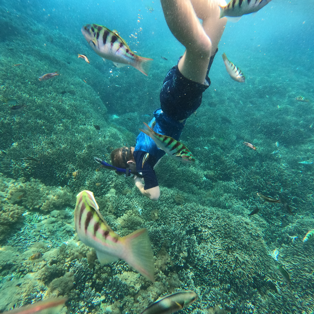 沙努爾 (Sanur) 海岸浮潛體驗