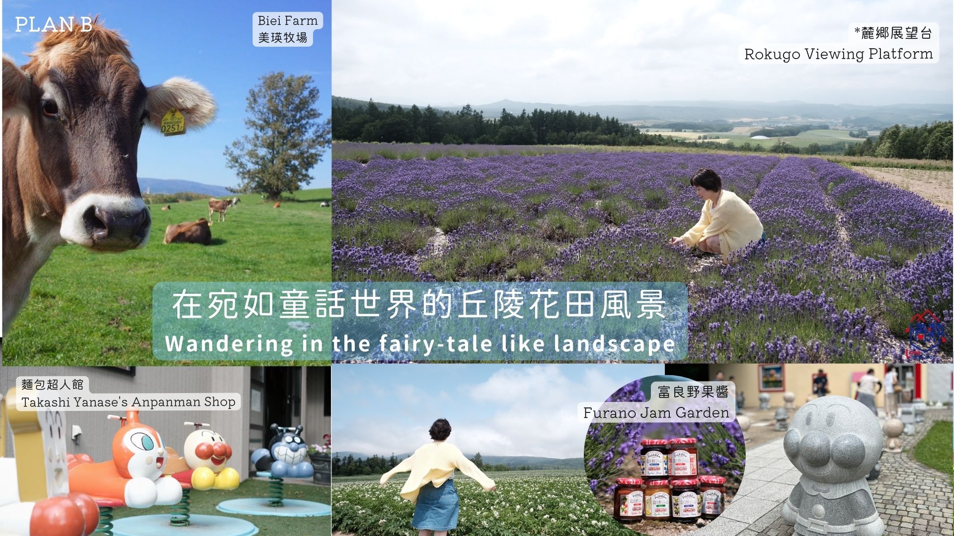 北海道｜夏日富良野浪漫追逐薰衣草花田一日團｜日之岀公園／富田農場／四季彩之丘+白金青池+美瑛牧場｜札幌出發