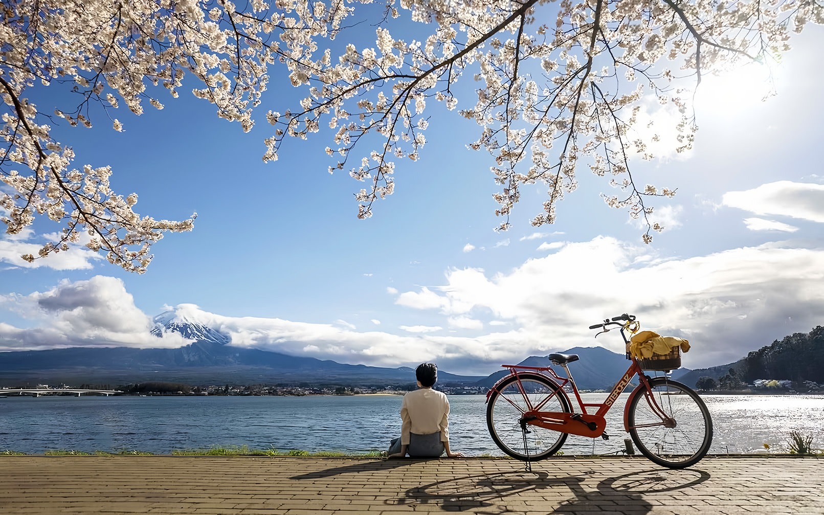 Mount Fuji Yamanakako Cycling & Lake Kawaguchi & Arakurayama Sengen Park & Nikawa Tokeiten Day Tour