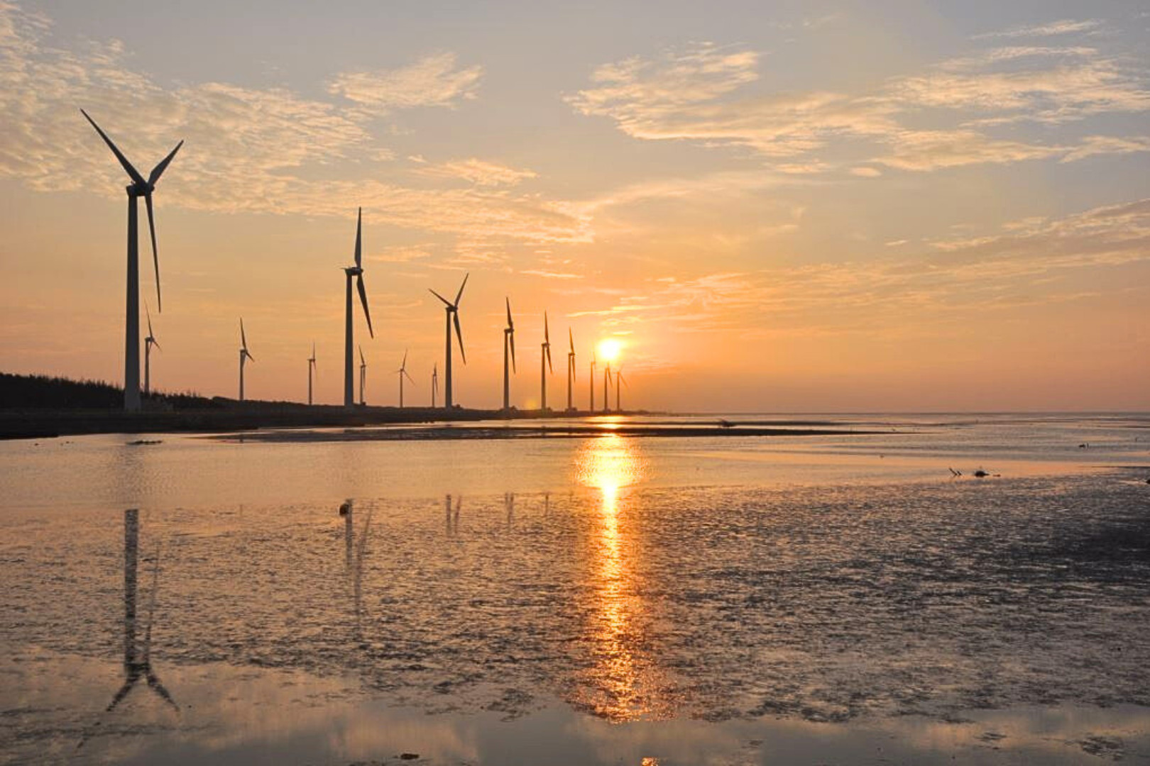 台中高美濕地＆中社花市＆春水堂＆台中歌劇院＆逢甲夜市一日遊（台中出發）