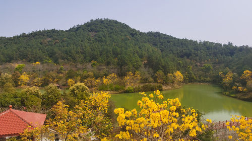 Baijianghu Forest Park