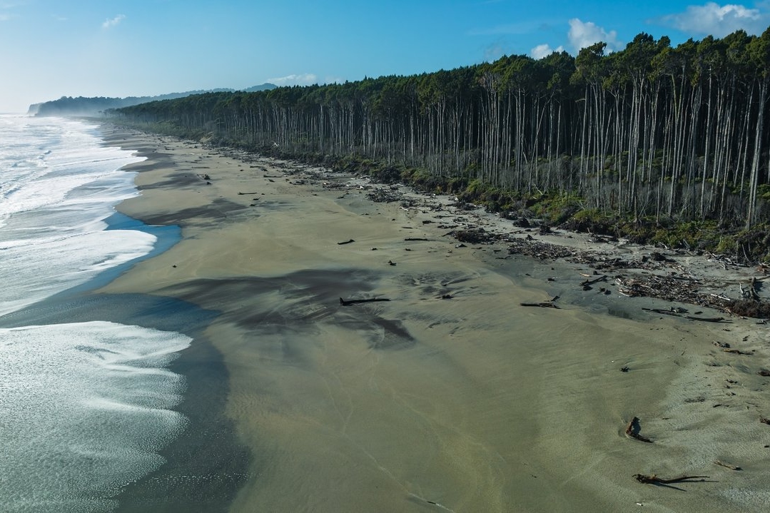 Relax at Bruce Bay, where serene beaches and majestic mountains create a picturesque getaway