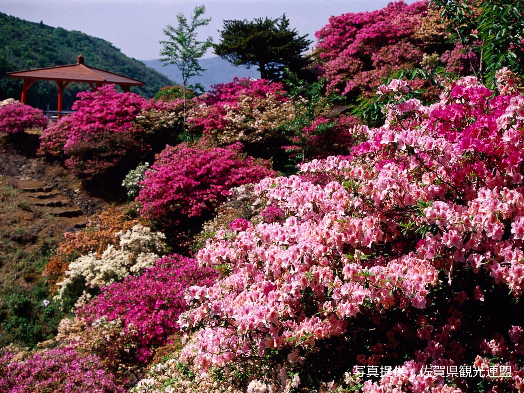 佐賀: 祐德稻荷神社&小城公園&鳥栖奧特萊斯 1日遊(博多出發)