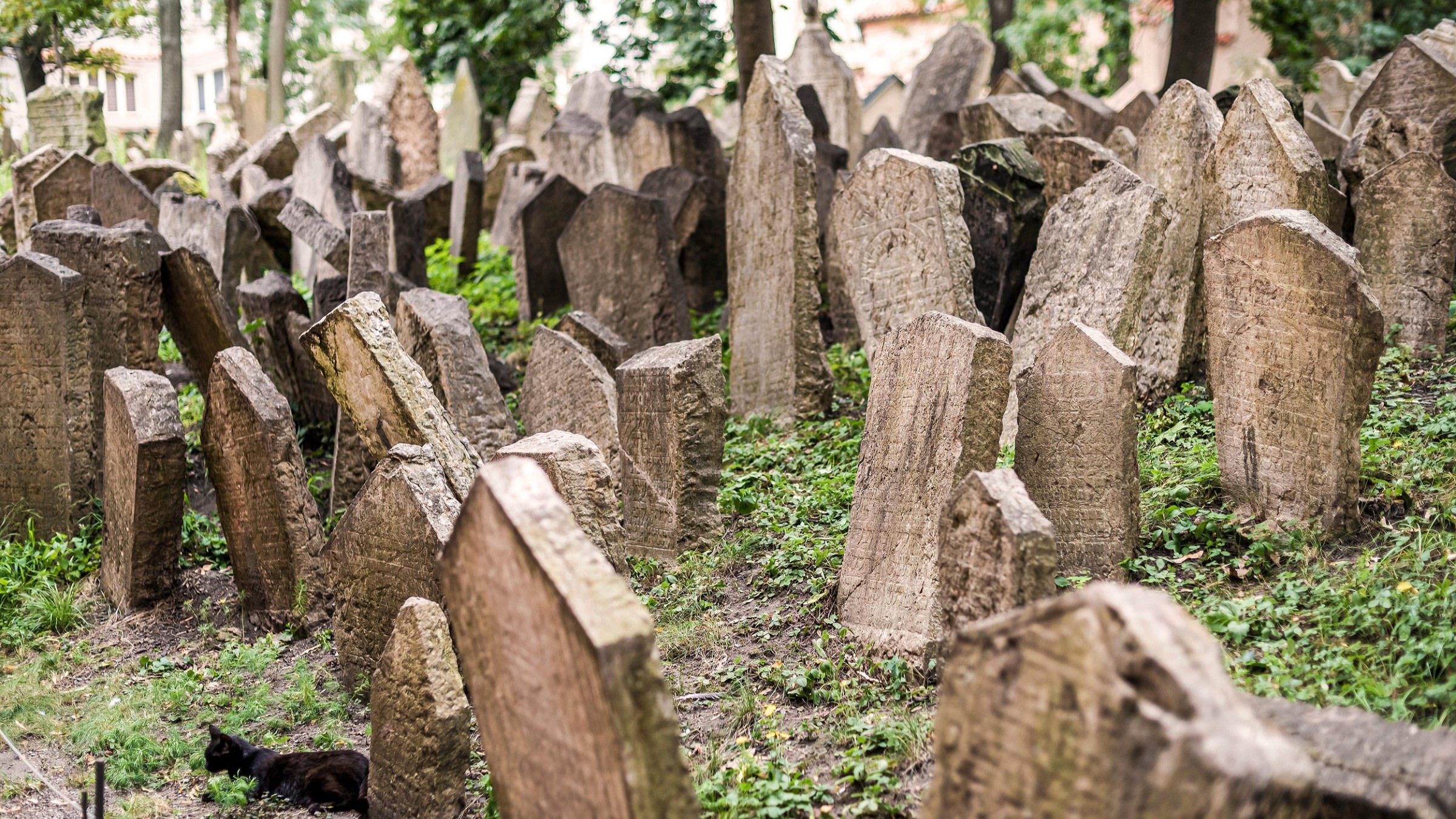 參觀歐洲最古老的猶太公墓之一,感受數世紀的歷史沉澱。 參觀歐洲最古老的猶太公墓之一,感受數世紀的歷史沉澱。