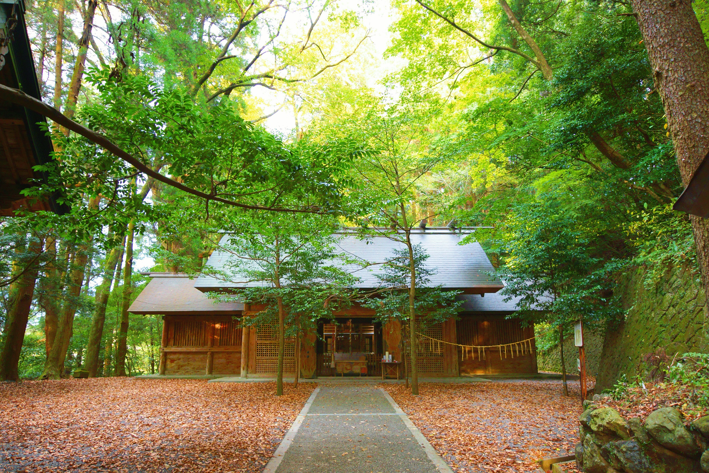 宮崎一日游（含特色牛肉午餐）高千穗+高千穗神社+天安河源    福岡出發/中英導遊