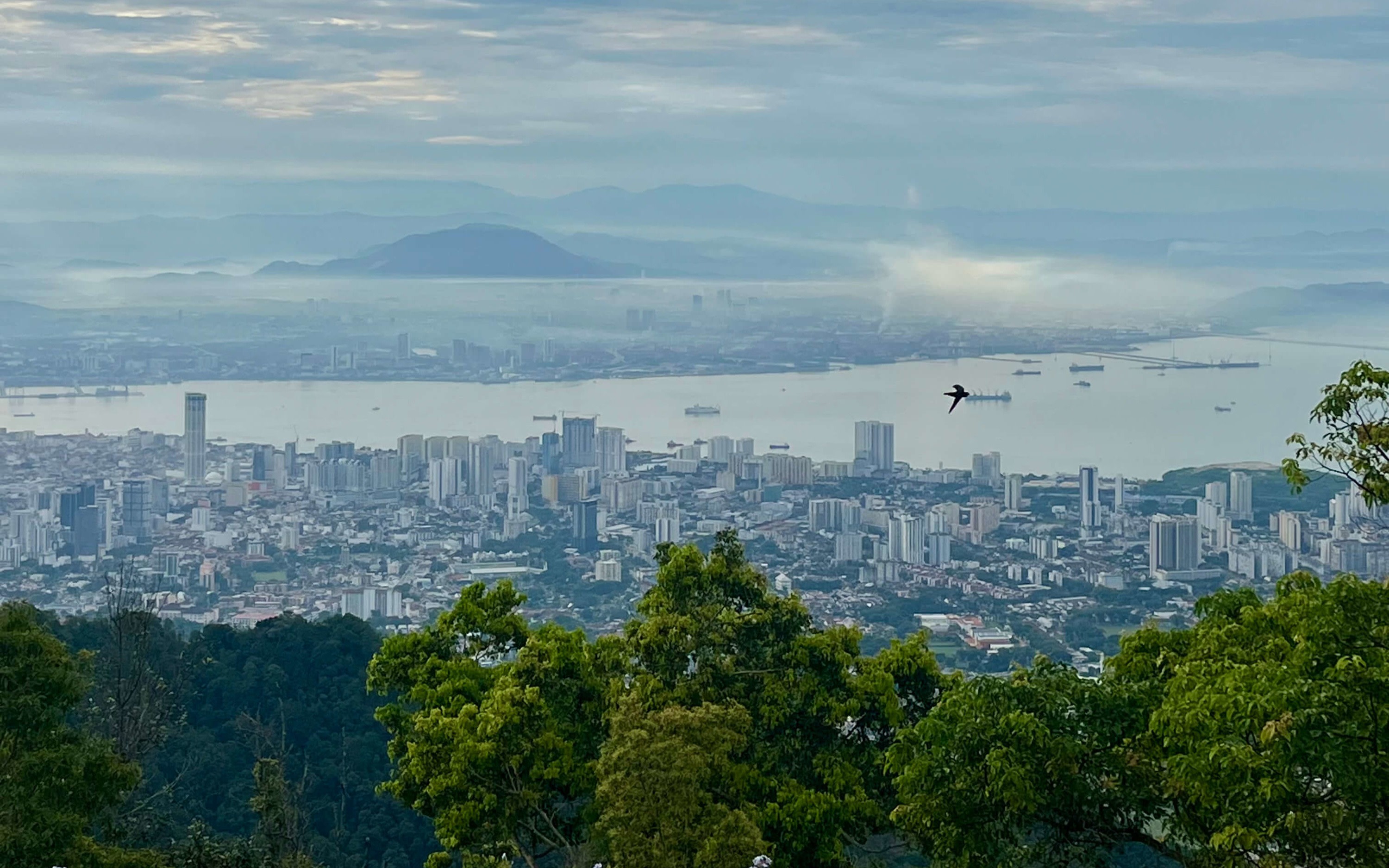 George Town World Heritage Half-Day Private Walking Tour