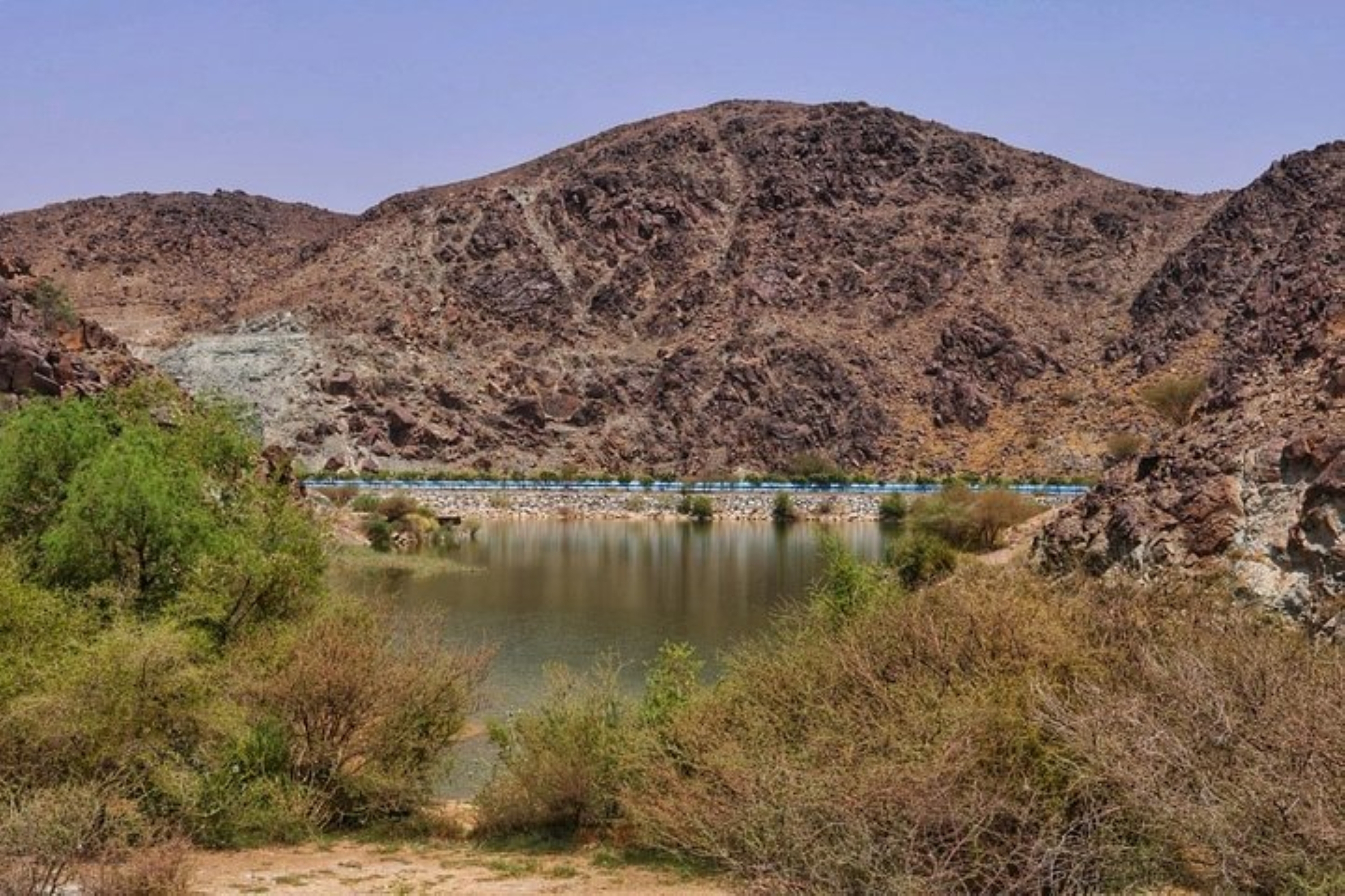 Wadi Lake View