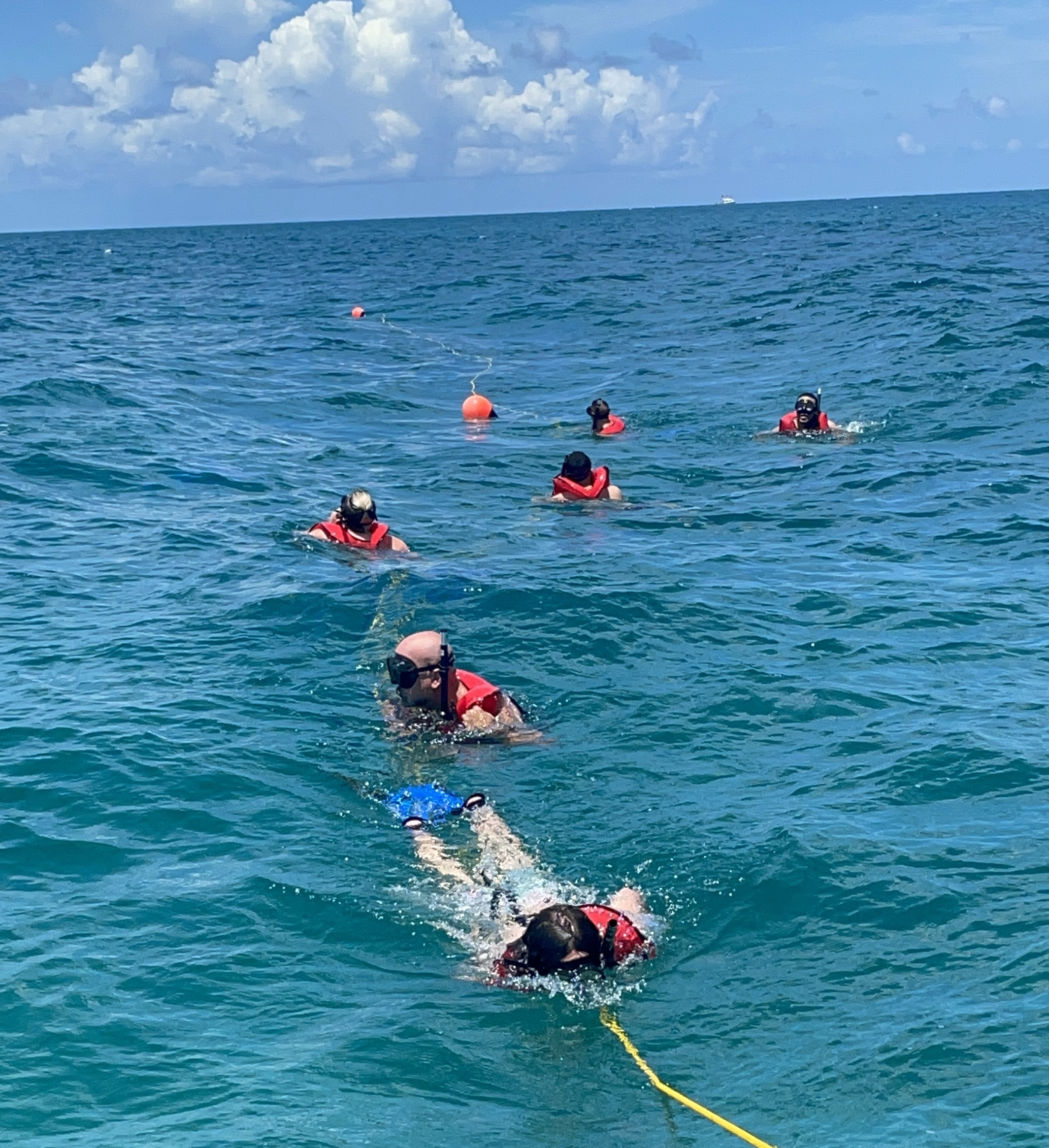 Miami's Underwater World: Half-Day Snorkeling with PADI Dive Boat