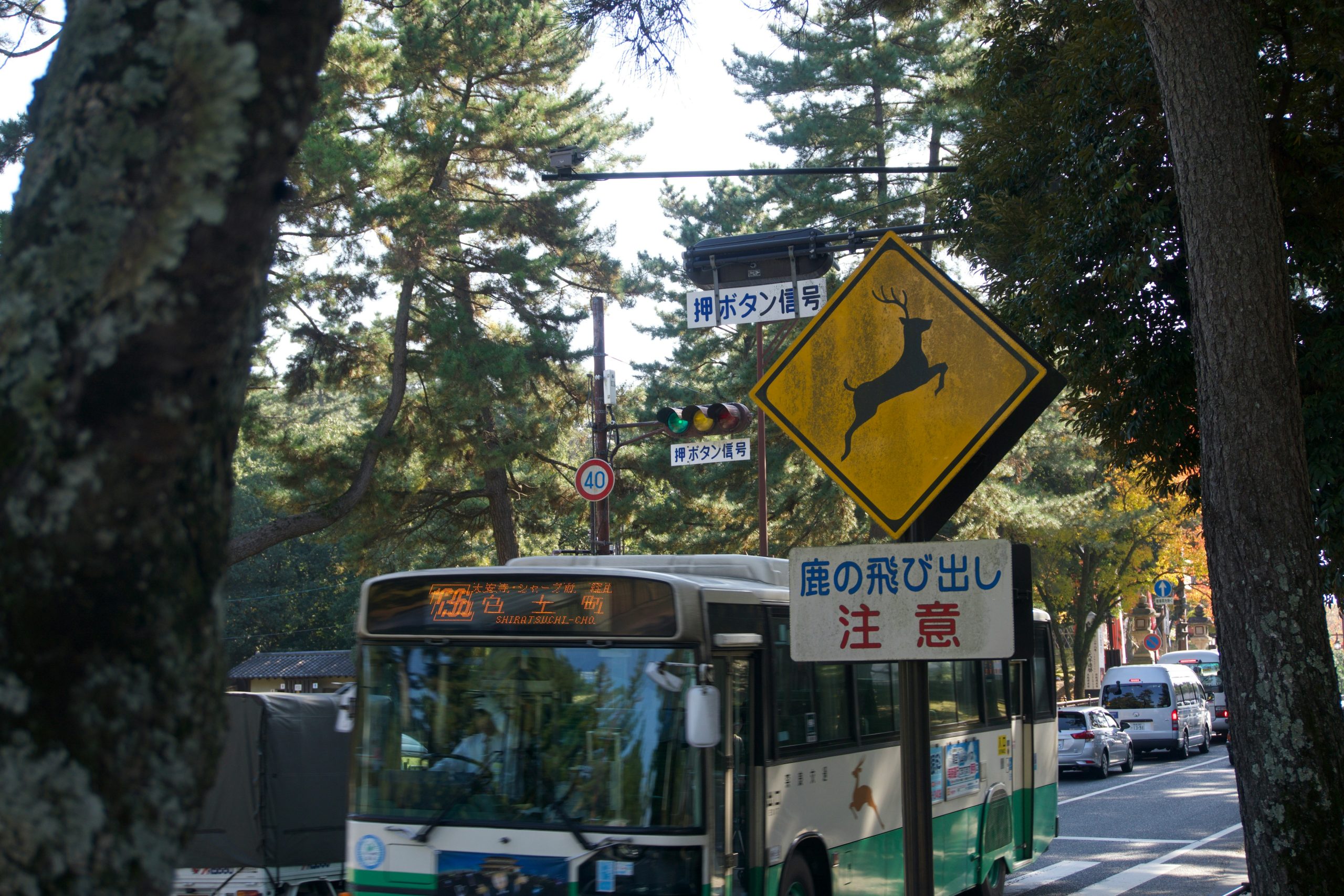 Nara Heritage Walkabout 