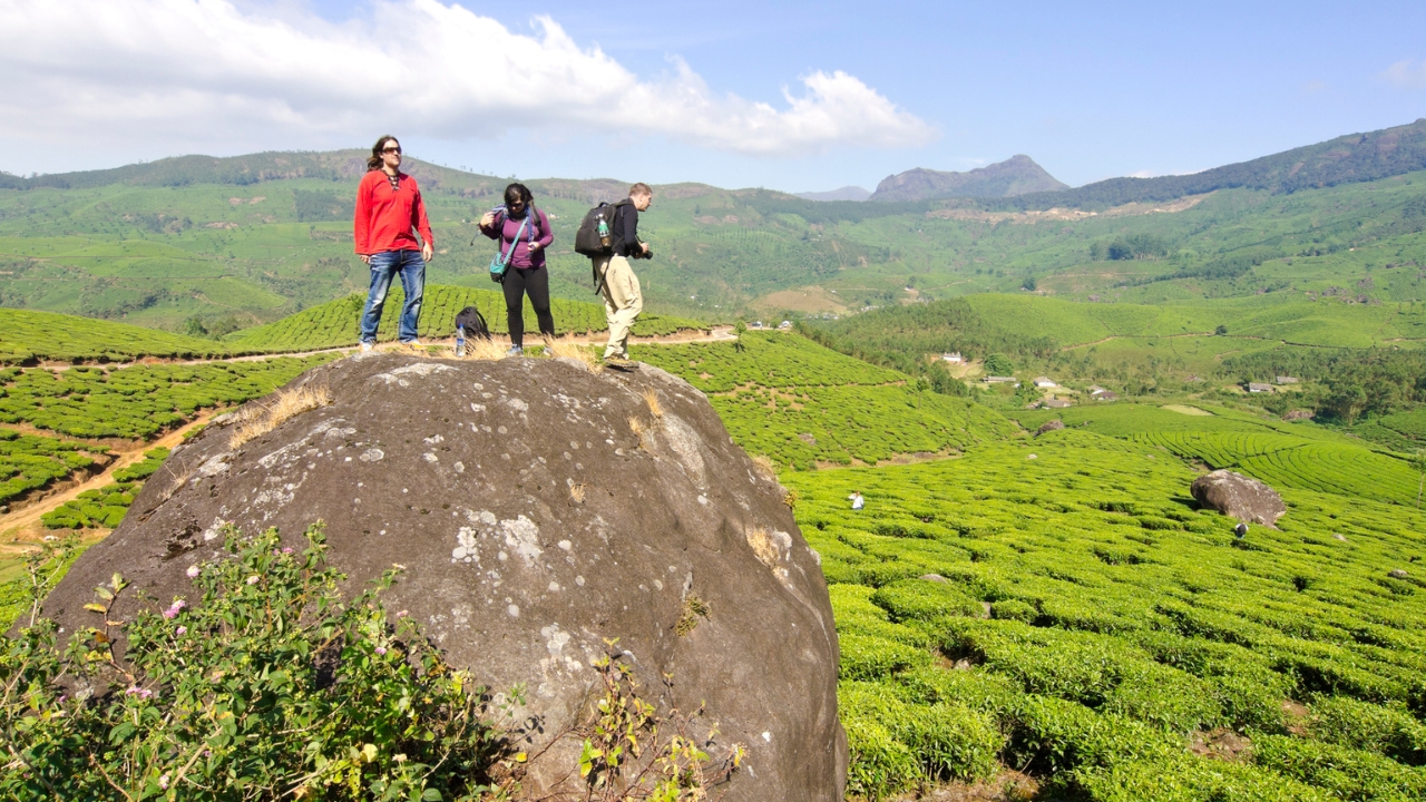From Cochin: 3-Night/4-Day Kerala Tour with Houseboat