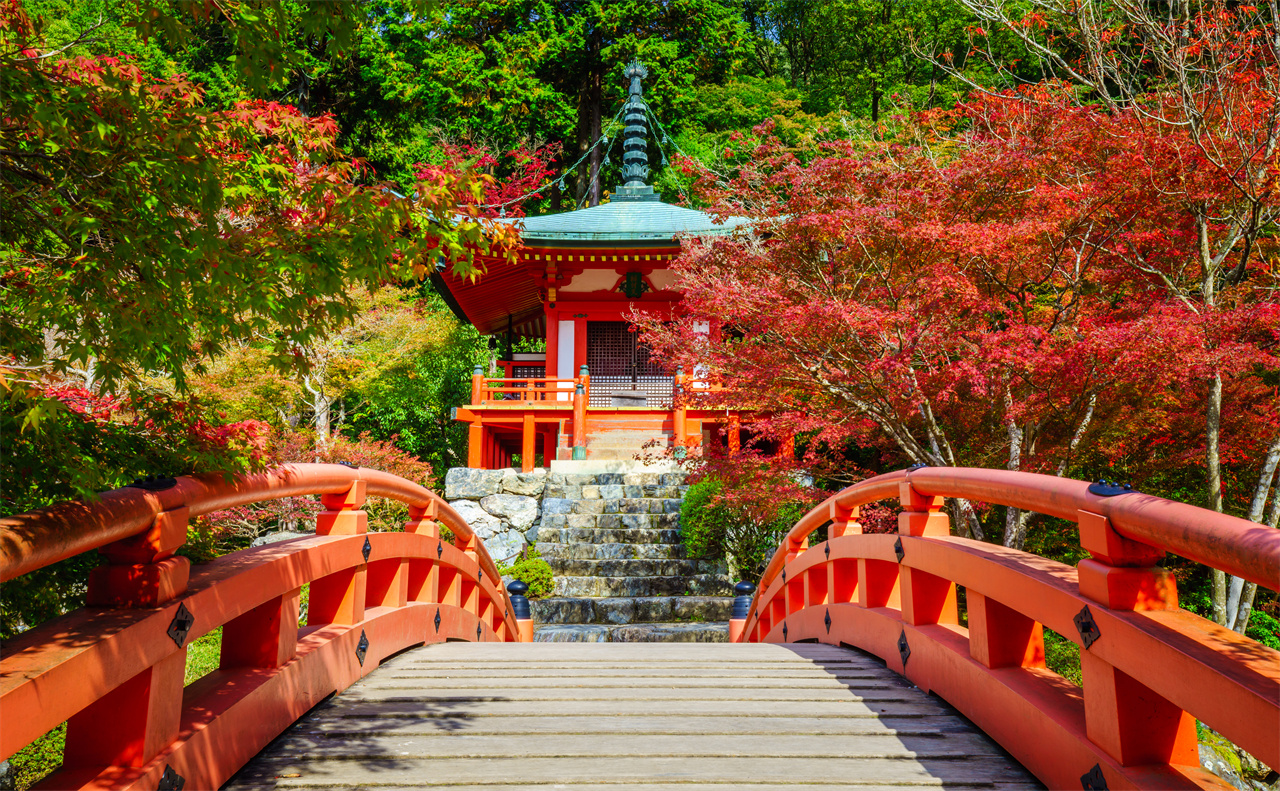京都清水寺·二條坂·金剛寺·八坂庚申堂·醍醐寺·宇治平等院·源氏物語博物館一日遊｜大阪/京都出發