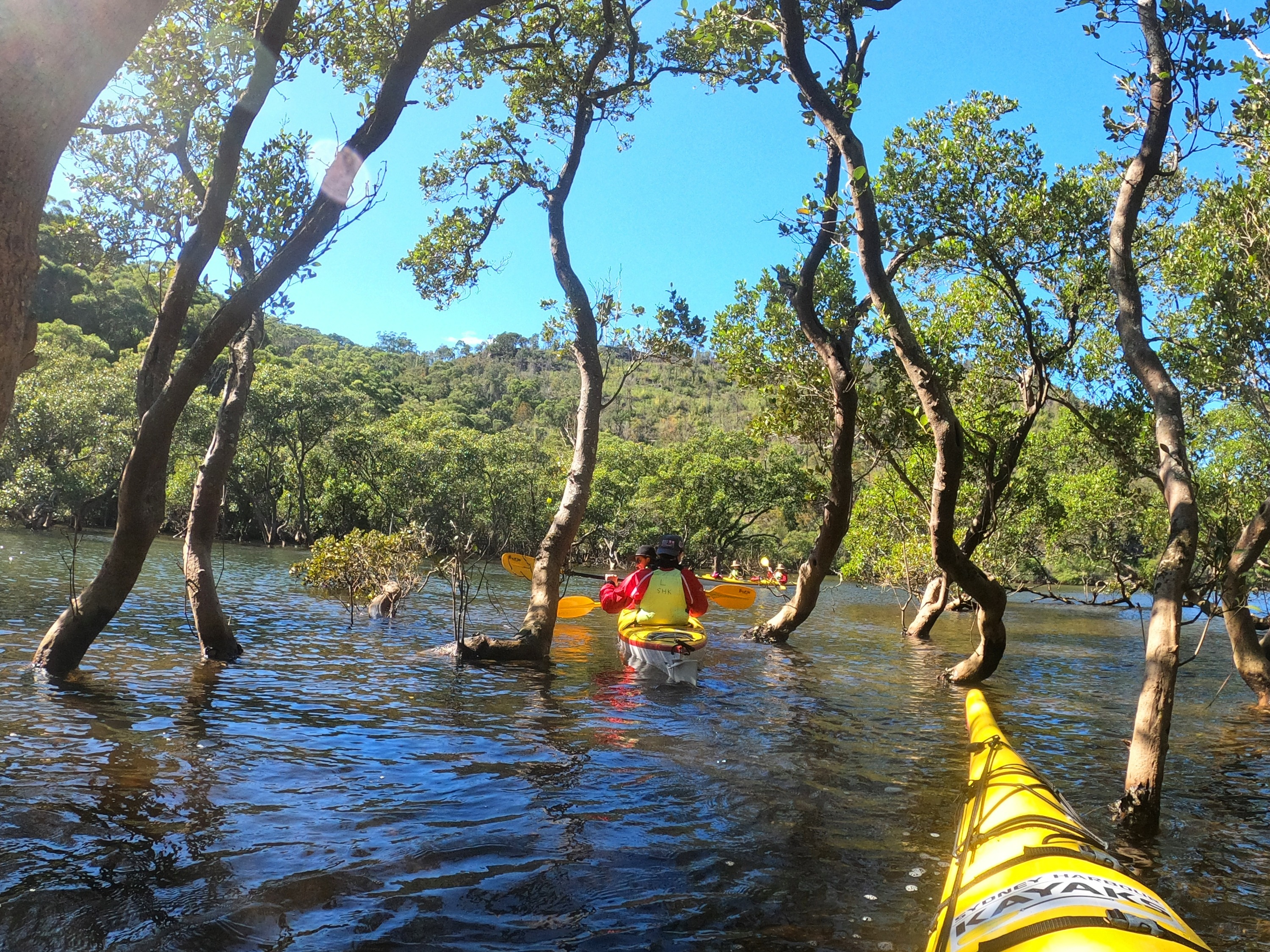雪梨中港皮划艇生態之旅（Sydney Harbour Kayaks提供）
