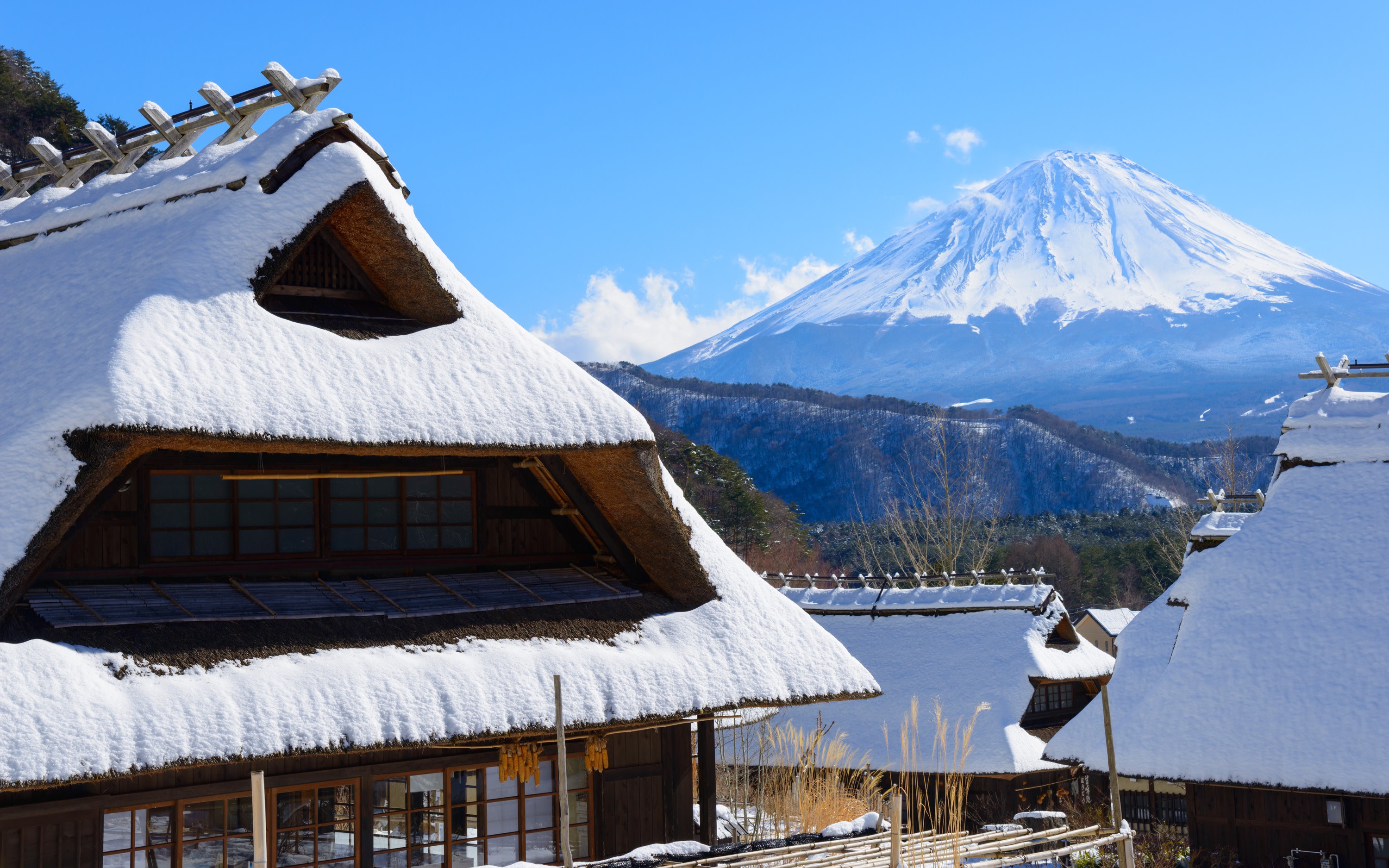 [One-Day Tour Exploring Scenic Spots of Mt. Fuji] Iyashi no Sato Nenba in Lake Saiko & Arakurayama Sengen Park & Lake Kawaguchi Oishi Park & Oshino Hakkai (From Tokyo)