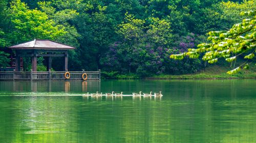 白江湖森林公園