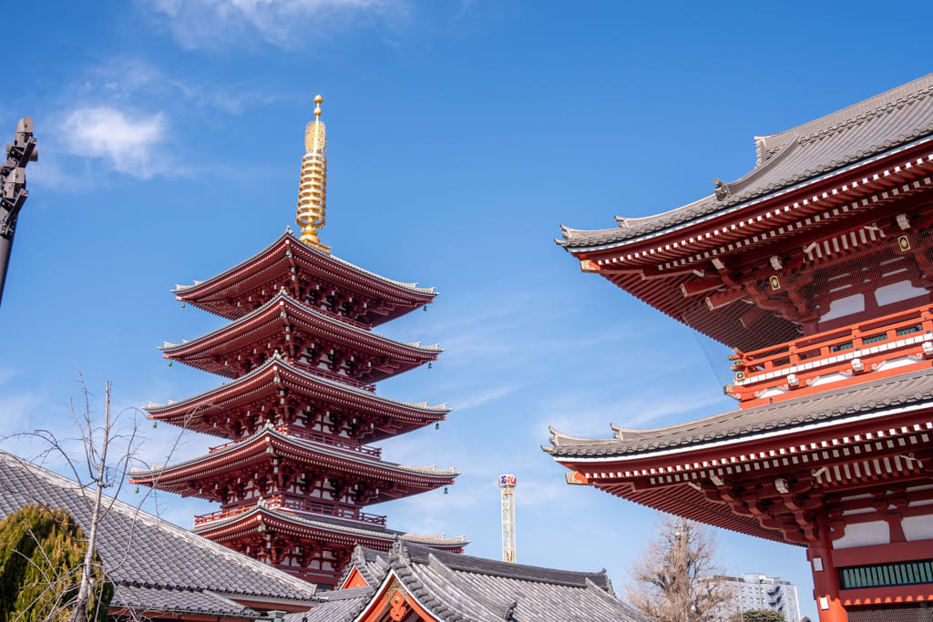 1-Day Tokyo Highlights Tour with a Private Car and Guide