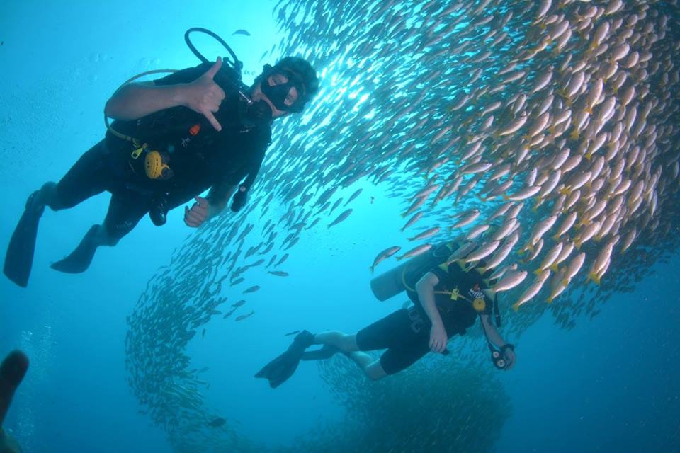 Morning Diving at Phi Phi Island with PADI 5 Star Dive Resort