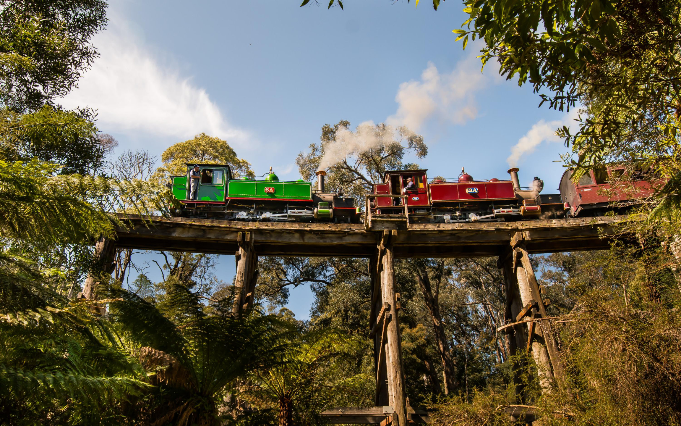 【14-seat Benz】Puffing Billy & Phillip Island & Brighton Beach Tour