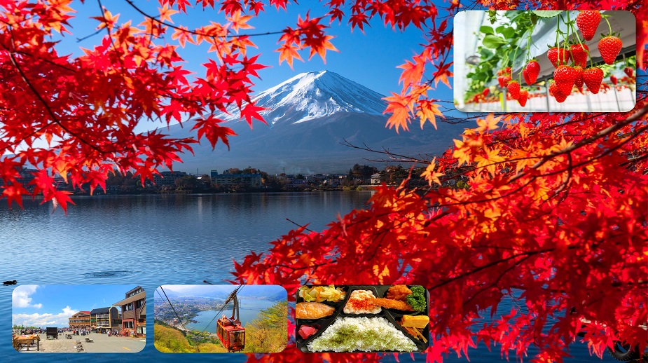 富士山打卡一日遊（含四季花卉 & 河口湖纜車 & 水果採摘吃到飽）- 東京出發