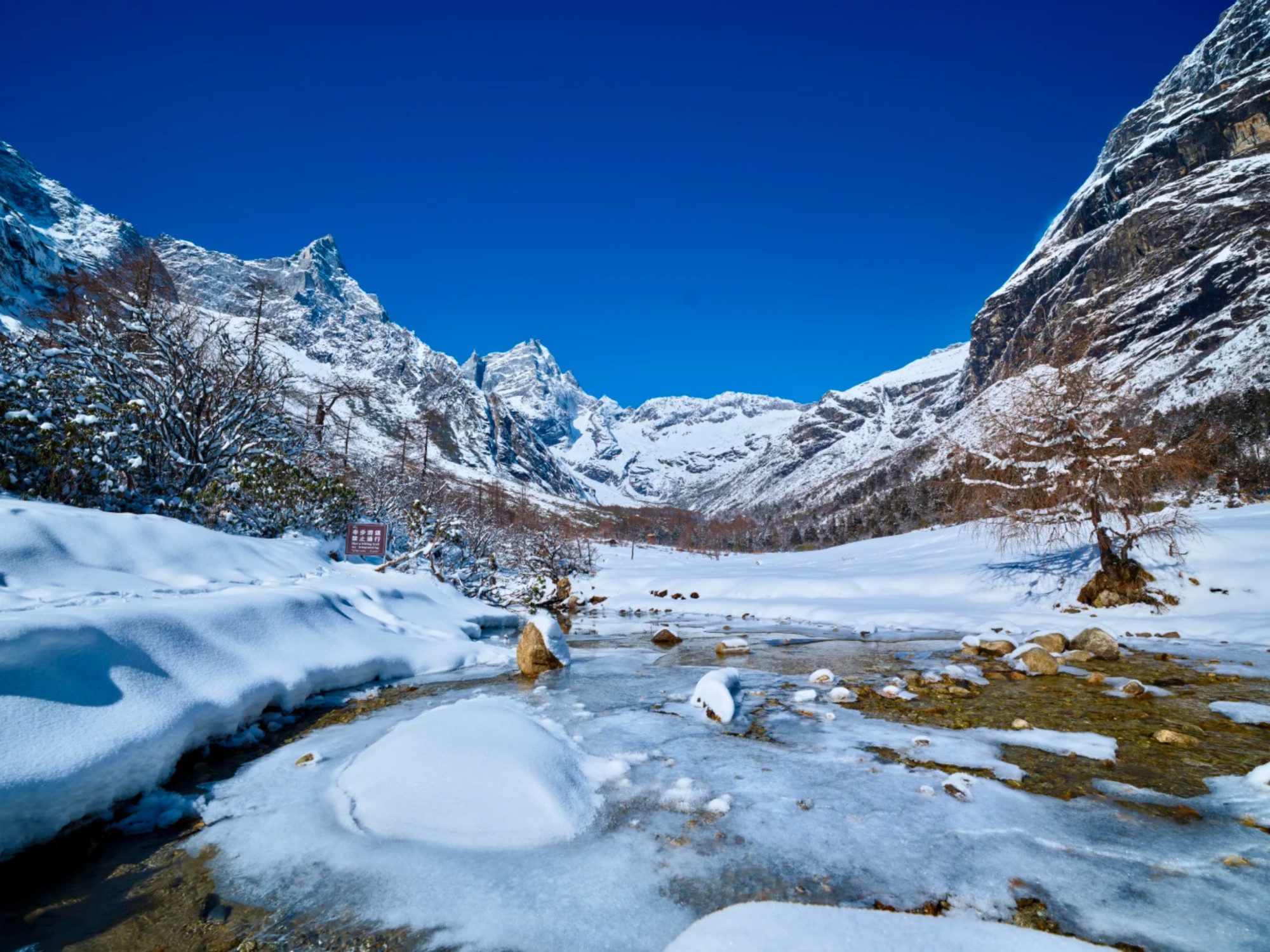 皚皚白雪覆蓋著山谷大地，一條半結冰的小溪蜿蜒流淌，展現出冬日峽谷的清冷與寂寥