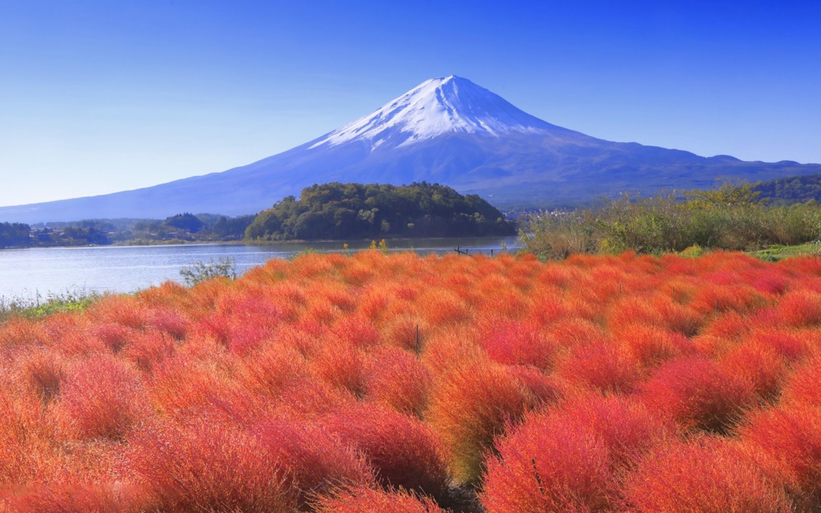 [Mount Fuji & Lake Kawaguchi & Hakone] Owakudani / Hakone Shrine & Arakurayama Sengen Park & Nikawa Tokeiten & Lawson Convenience Store & Lake Kawaguchi Oishi Park (Departure from Tokyo)