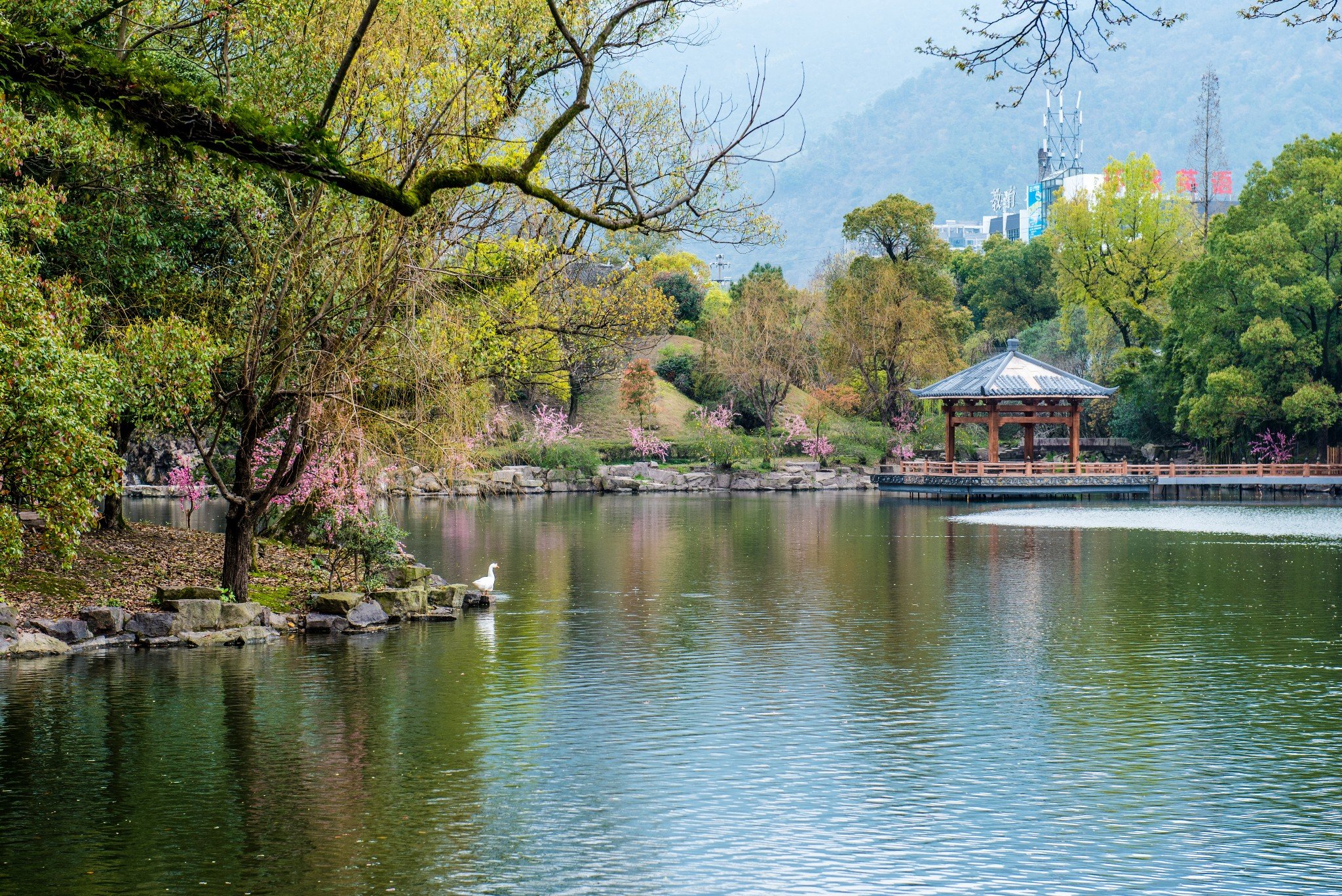 湖面南北狹長，分為前湖和後湖，洲渚點綴，亭臺樓閣倒映其中。清代學者俞樾贊其“杭州有西湖，台州有東湖，東湖之勝，小西湖也”。