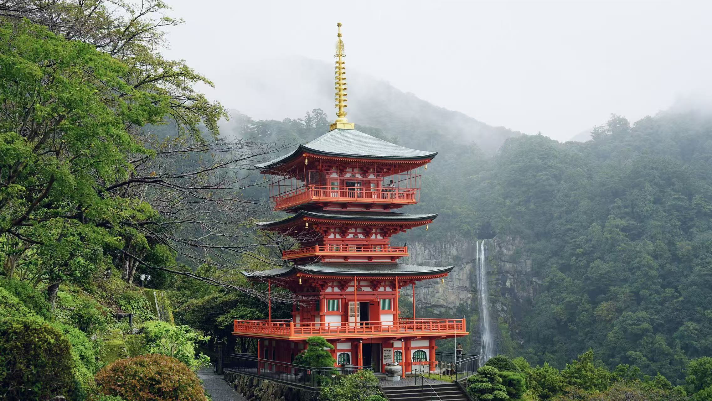 Kumano Kodo & Kumano Sanzan Full-Day Pilgrimage Tour