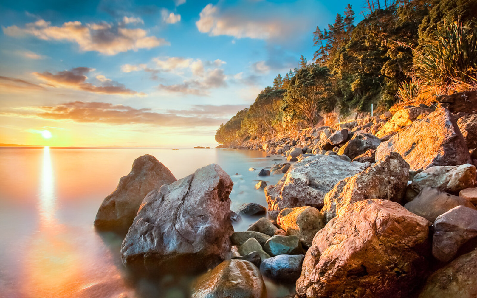 Coromandel Peninsula Exploration Experience