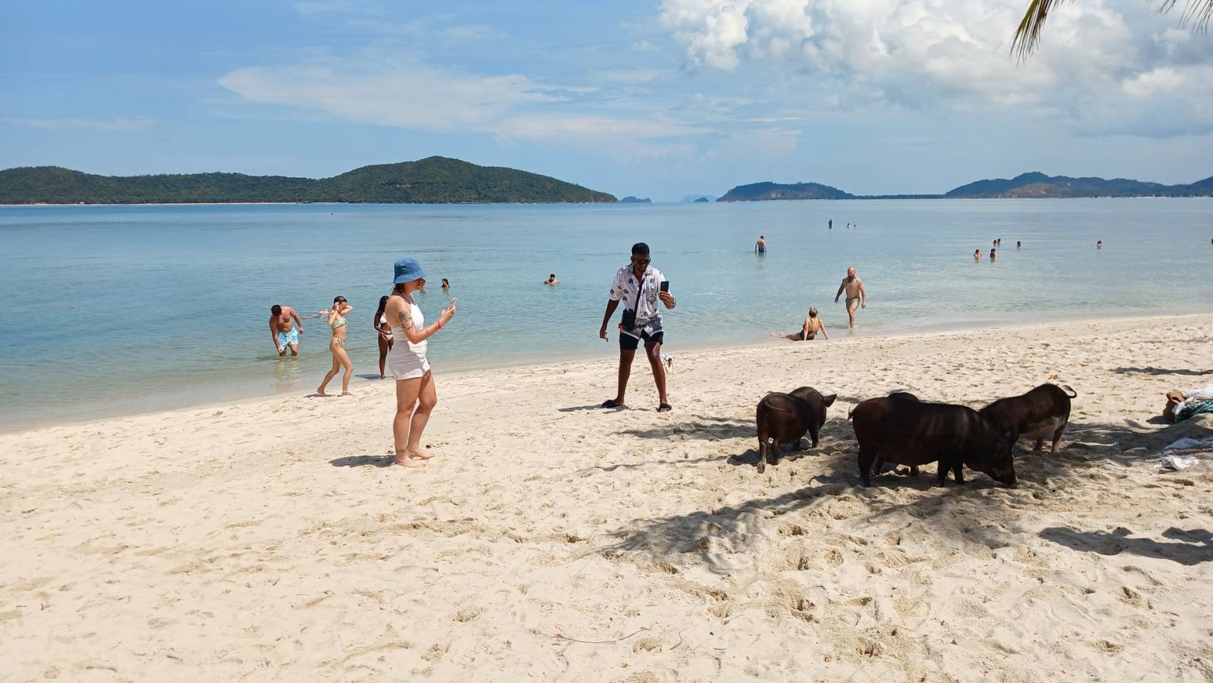 蘇美島跳島＆浮潛之旅：珊瑚礁＆豬島