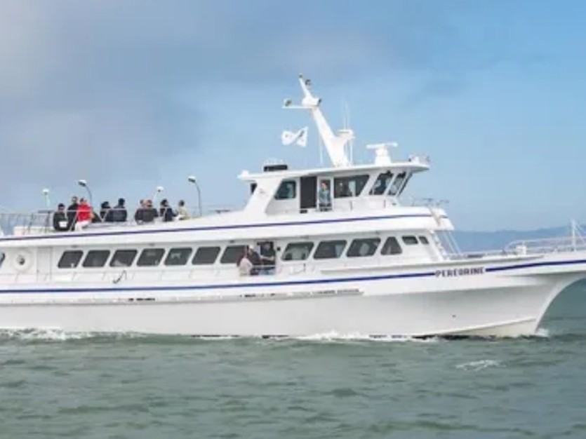 The cruise offers a smooth, stable ride with spacious seating and breathtaking ocean views