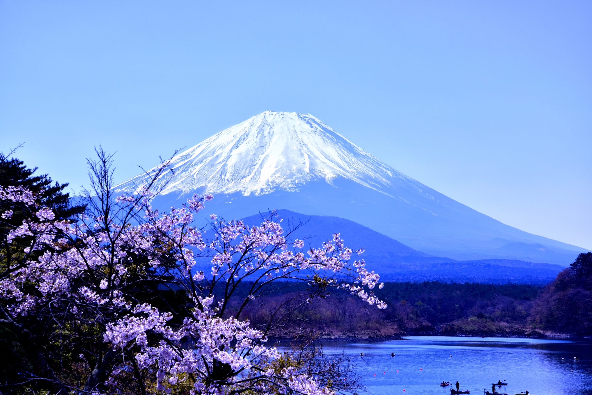 富士山一日遊（含午餐選擇）- 東京出發