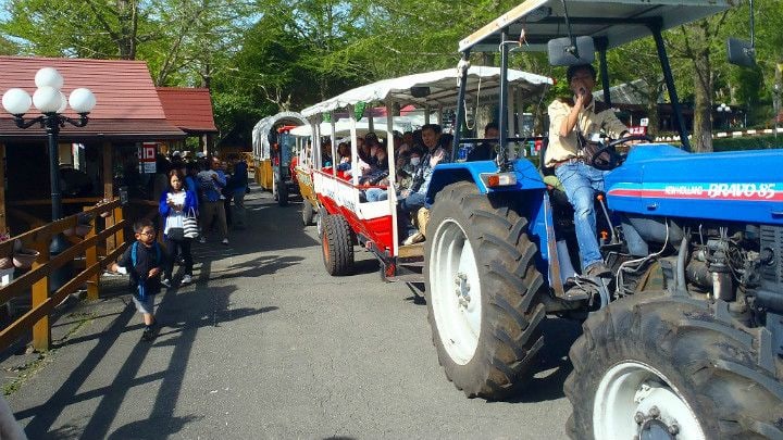 遊客還可以乘坐由大型拖拉機牽引的巴士環園一週，由工作人員詳細介紹牧場景點。