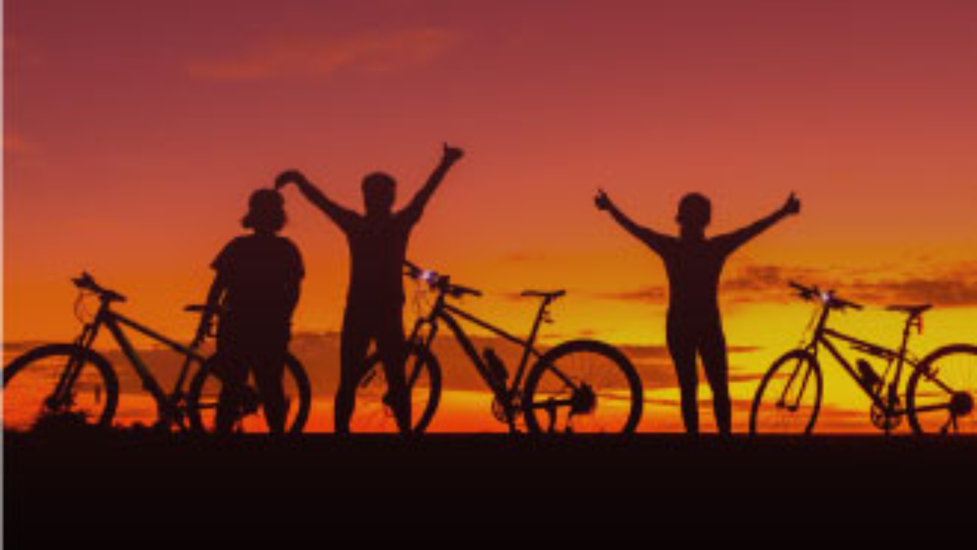 Feel the freedom of cycling through stunning routes filled with nature’s beauty