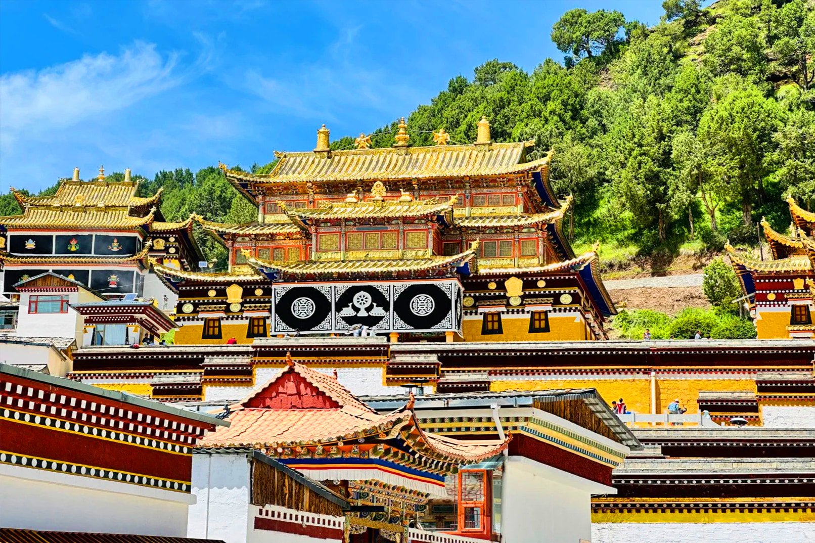 小眾甘南&蓮寶葉則&九寨溝&青海湖8日（草原野奢營地阿米貢洪+甘加秘境營地+若爾蓋花湖+洛克之路+桑科草原+藏學府拉卜楞寺+騎馬體驗）