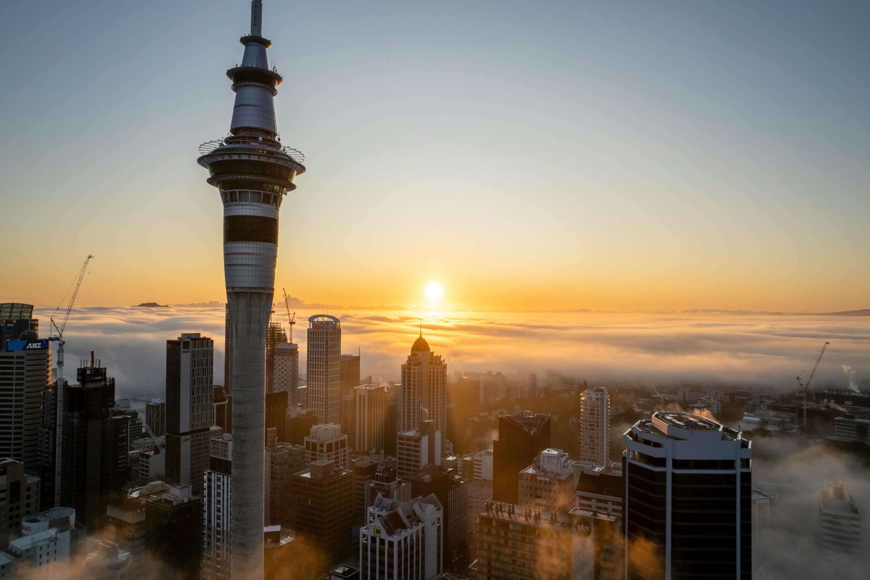 Auckland Half Day Attractions and Museums Tour