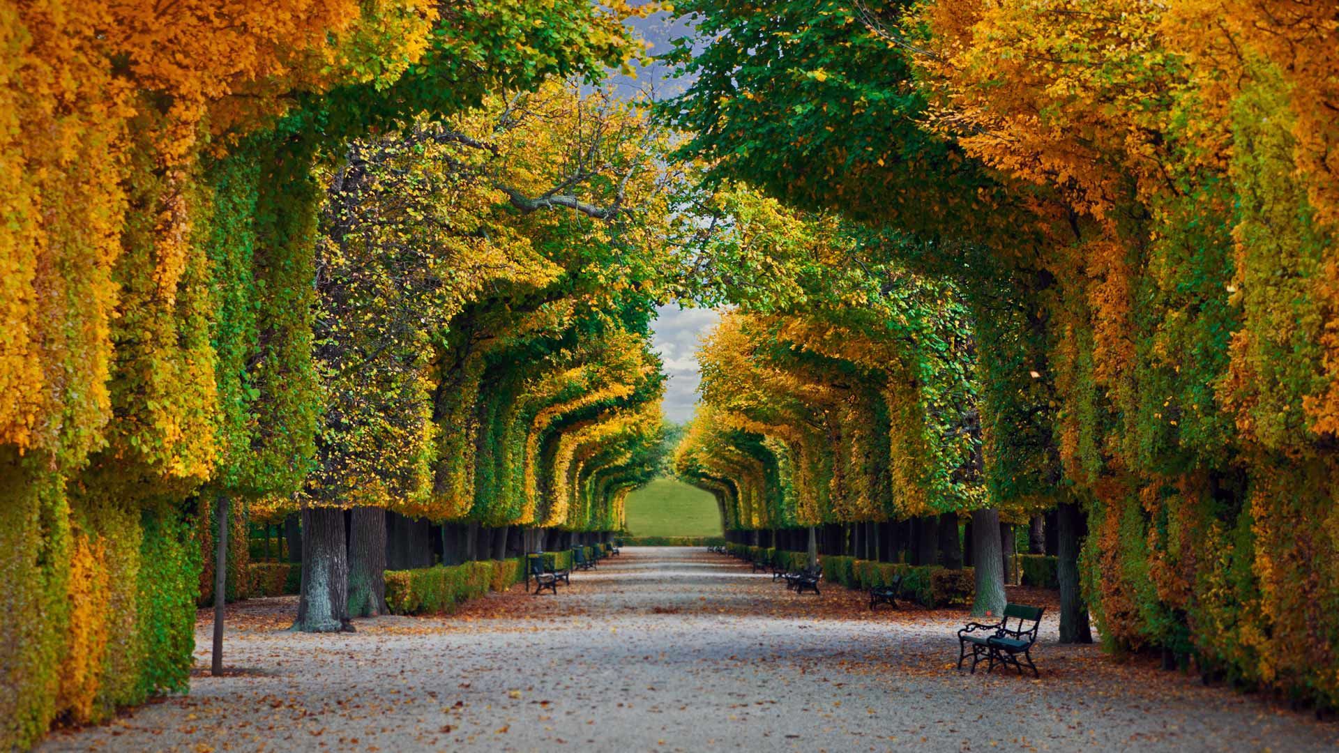 維也納：熊布朗宮和花園導覽遊 (Vienna: Schönbrunn Palace and Gardens Guided Tour)
