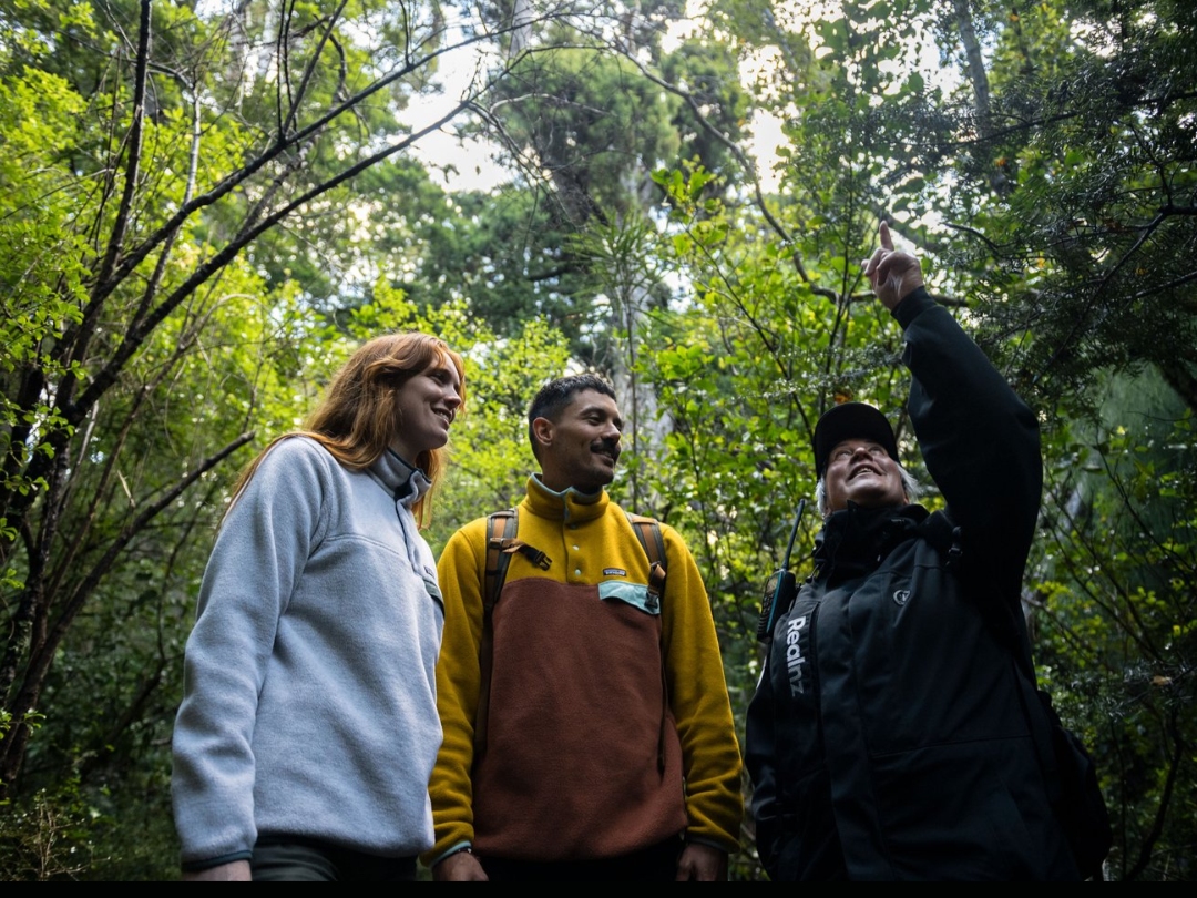 參加烏爾瓦島導覽自然健行，欣賞豐富的原生植物與野生動物