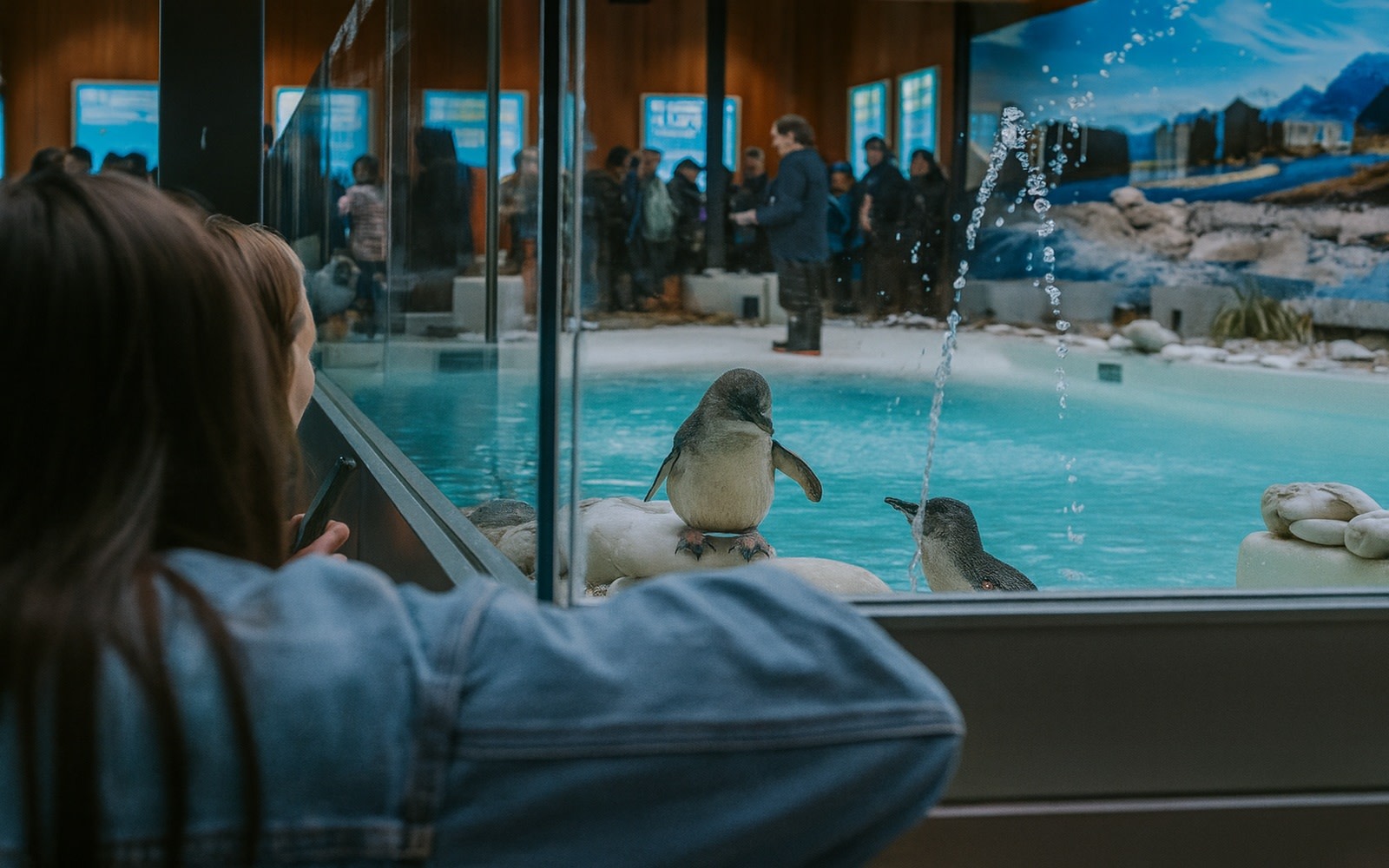 West Coast Wildlife Centre Admission Ticket