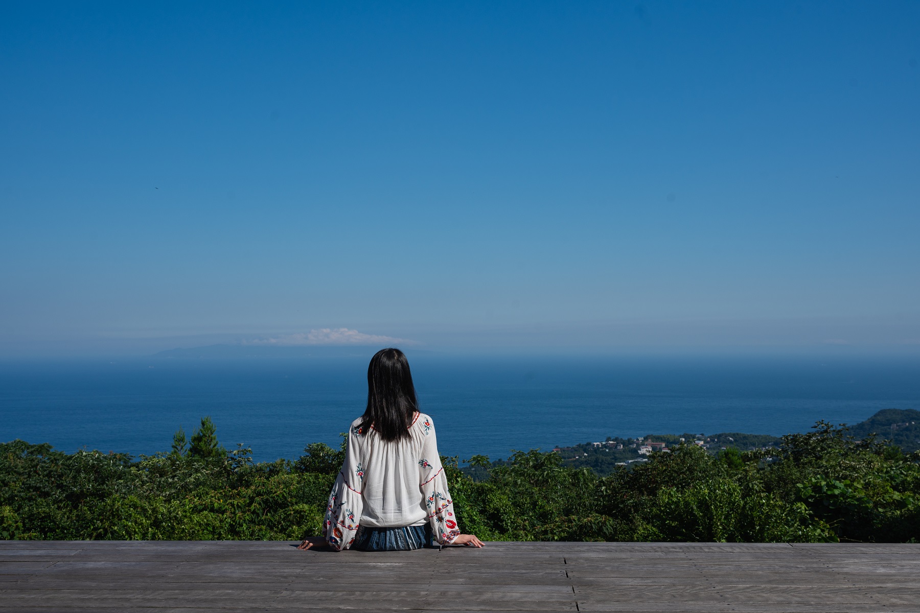 伊豆半島: 大室山 & 城崎海岸 & 伊豆全景公園 & 小室山 & 來宮神社 & 富士山絕景攝影地2日遊 (入住伊豆溫泉飯店)