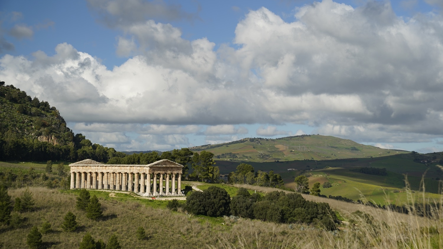Segesta ruins ticket in Sicily 