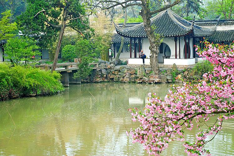 拙政園 拙政園