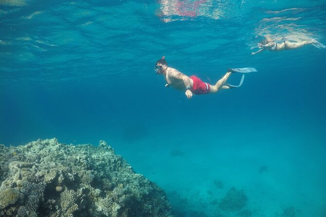 Snorkeling and Diving to Ras Mohamed And White Island by VIP Boat