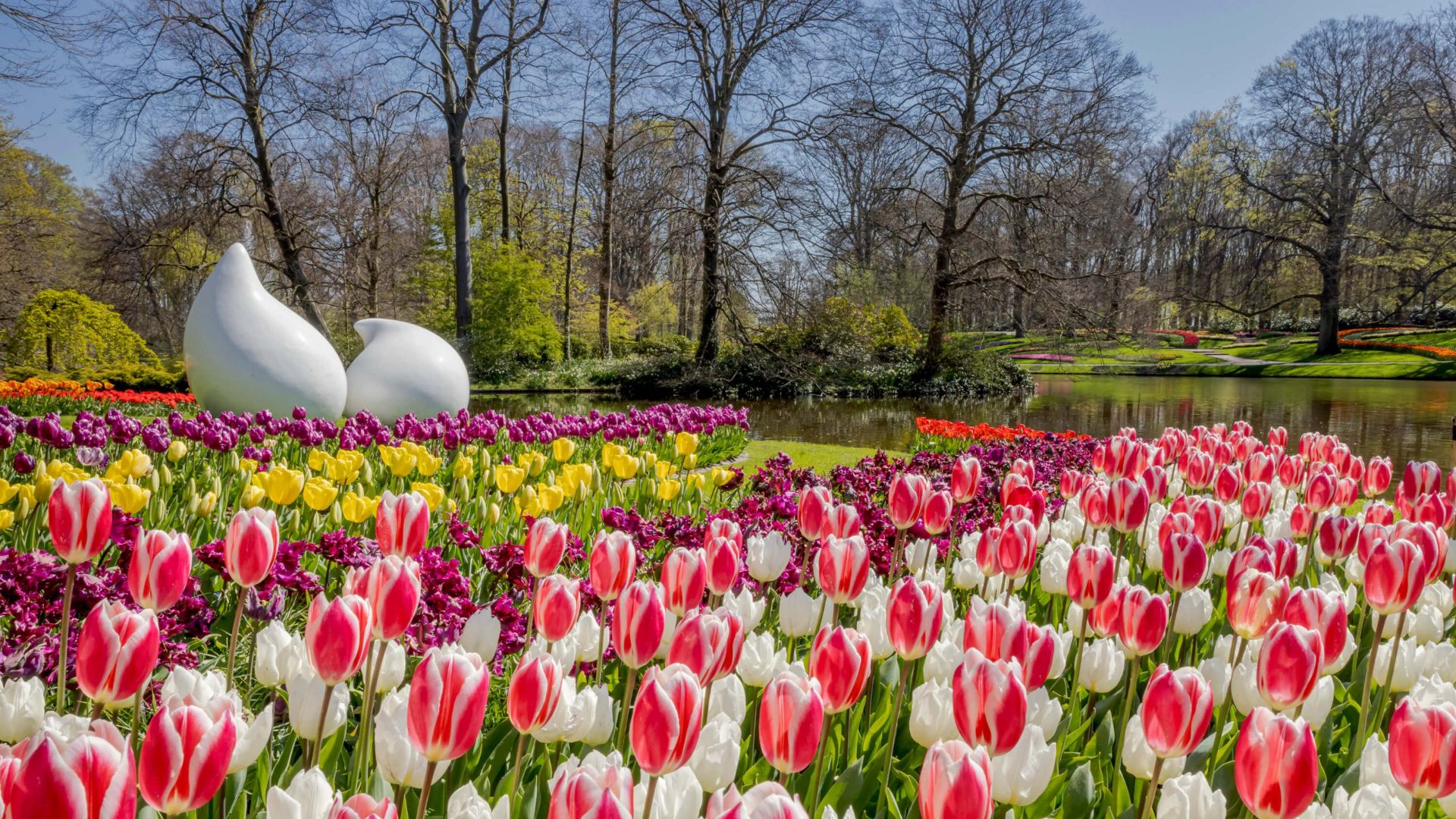 Keukenhof Gardens Ticket & Shuttle from Schiphol Airport with Flexible Return