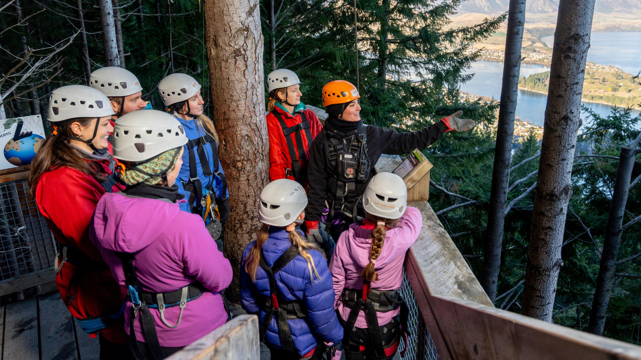 皇后鎮叢林飛索體驗（Ziptrek 提供）