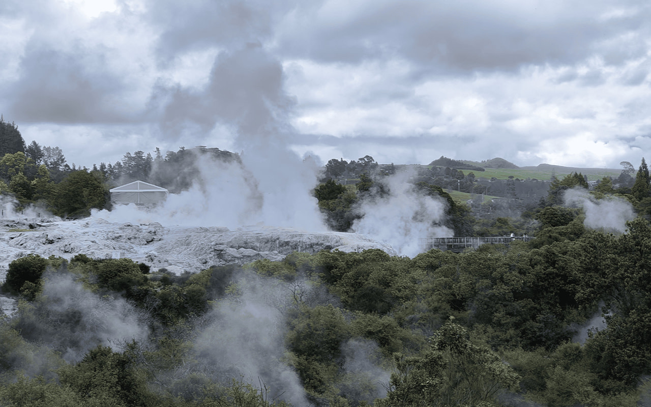 Tauranga Whakarewarewa Full-Day Cultural Tour with Hangi Lunch
